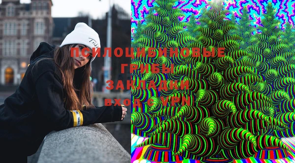 амфетамин Алексеевка