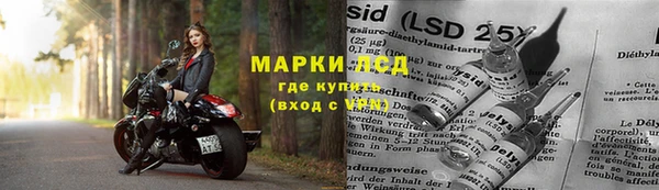 ПСИЛОЦИБИНОВЫЕ ГРИБЫ Алексин